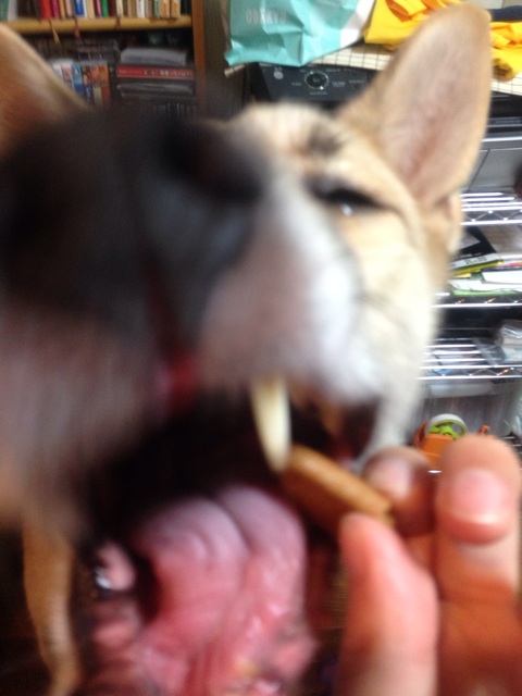 f:id:pochi52:20140904213344j:plain f:id:pochi52:20140904213344j:plain
