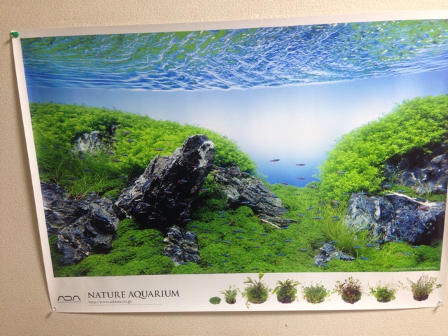 f:id:pochi52:20140914010029j:plain f:id:pochi52:20140914010029j:plain