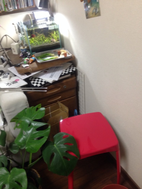 f:id:pochi52:20140916172027j:plain f:id:pochi52:20140916172027j:plain