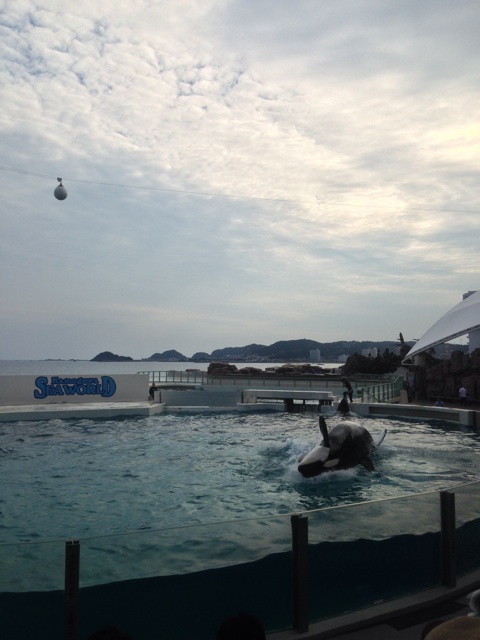 f:id:pochi52:20140918211536j:plain f:id:pochi52:20140918211536j:plain