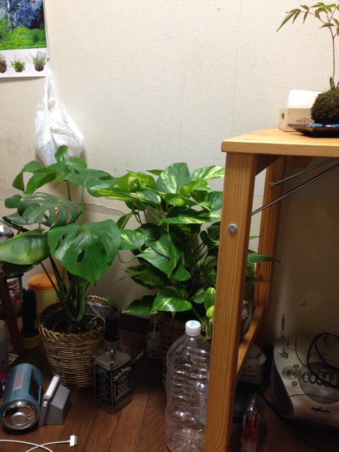 f:id:pochi52:20140928225657j:plain f:id:pochi52:20140928225657j:plain
