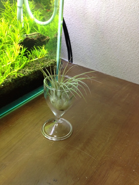f:id:pochi52:20140930222929j:plain f:id:pochi52:20140930222929j:plain