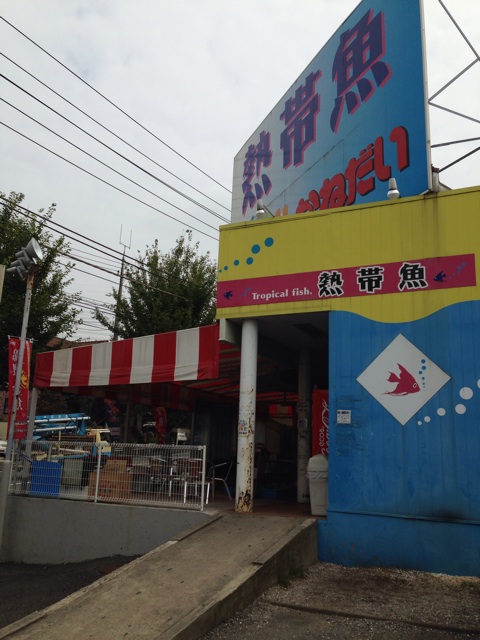 f:id:pochi52:20141002193137j:plain f:id:pochi52:20141002193137j:plain