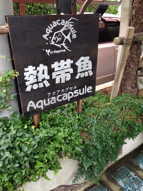 f:id:pochi52:20141002194258j:plain f:id:pochi52:20141002194258j:plain