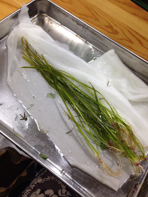 f:id:pochi52:20141002195627j:plain f:id:pochi52:20141002195627j:plain