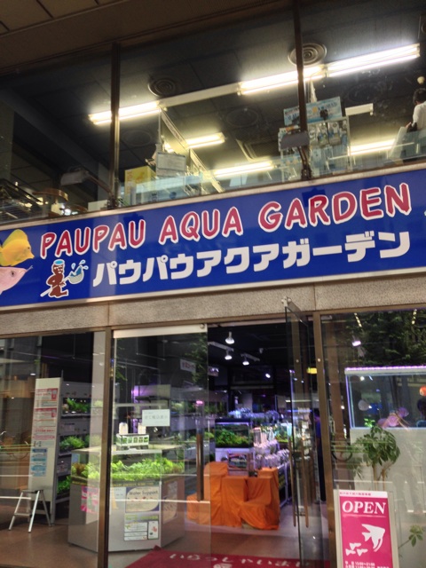 f:id:pochi52:20141008215716j:plain f:id:pochi52:20141008215716j:plain