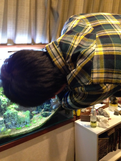 f:id:pochi52:20141008220010j:plain f:id:pochi52:20141008220010j:plain