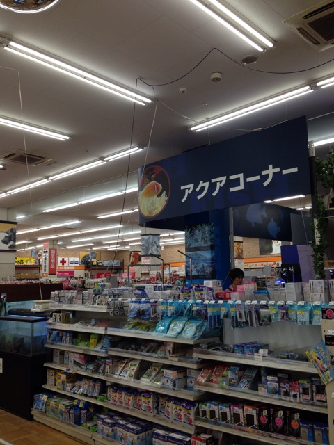 f:id:pochi52:20141012191131j:plain f:id:pochi52:20141012191131j:plain