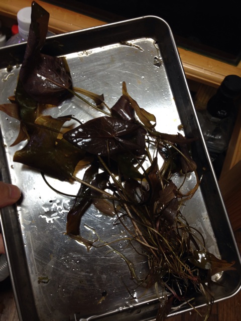 f:id:pochi52:20141012192302j:plain f:id:pochi52:20141012192302j:plain