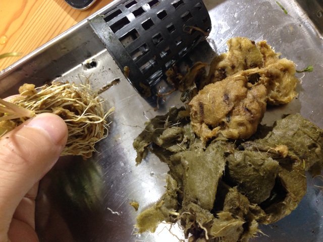 f:id:pochi52:20141012193146j:plain f:id:pochi52:20141012193146j:plain