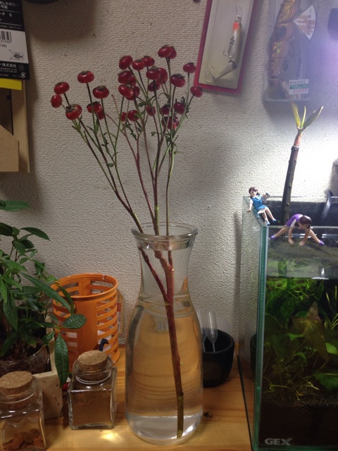 f:id:pochi52:20141019180206j:plain f:id:pochi52:20141019180206j:plain