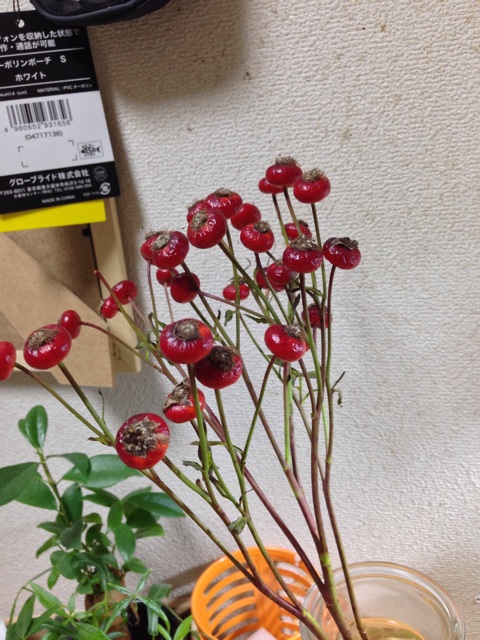 f:id:pochi52:20141021223205j:plain f:id:pochi52:20141021223205j:plain