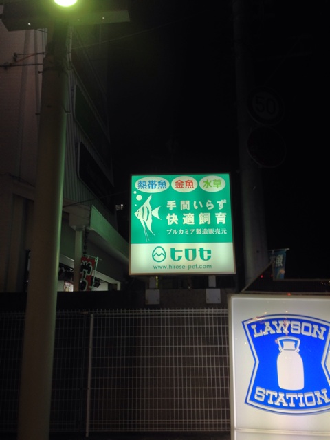 f:id:pochi52:20141108203319j:plain f:id:pochi52:20141108203319j:plain
