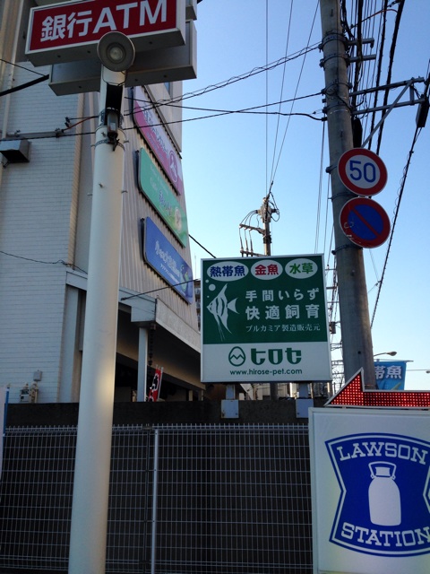 f:id:pochi52:20141209193414j:plain f:id:pochi52:20141209193414j:plain
