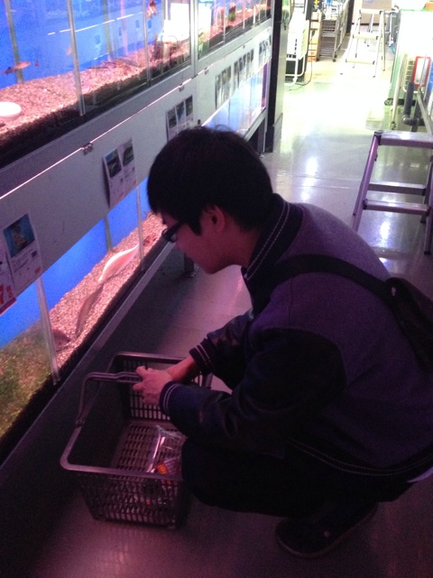 f:id:pochi52:20150101222614j:plain f:id:pochi52:20150101222614j:plain