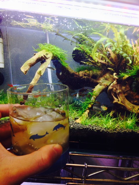 f:id:pochi52:20150106175725j:plain f:id:pochi52:20150106175725j:plain