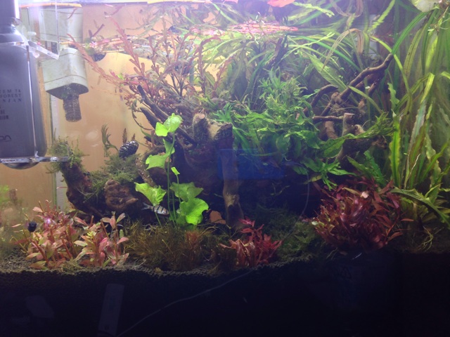 f:id:pochi52:20150111210047j:plain f:id:pochi52:20150111210047j:plain