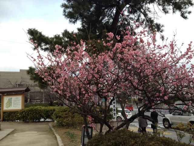 f:id:pockkun:20140309231436j:plain f:id:pockkun:20140309231436j:plain