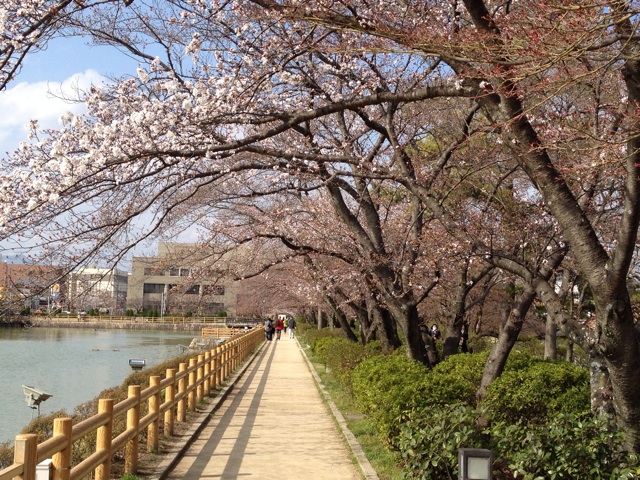 f:id:pockkun:20140331232650j:plain f:id:pockkun:20140331232650j:plain