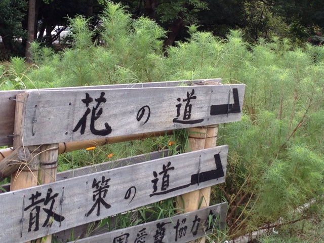 f:id:pockkun:20140824164152j:plain f:id:pockkun:20140824164152j:plain