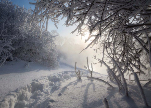 f:id:pockkun:20150113231830j:plain f:id:pockkun:20150113231830j:plain