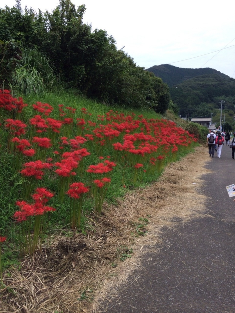 f:id:poco0719:20140925233524j:plain f:id:poco0719:20140925233524j:plain