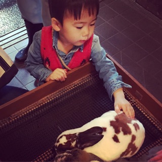 f:id:poco0719:20150323155106j:plain f:id:poco0719:20150323155106j:plain