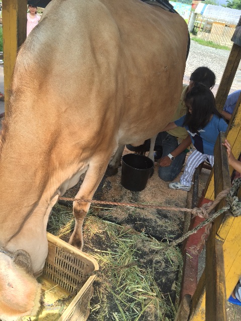 f:id:poco0719:20150715100948j:image f:id:poco0719:20150715100948j:image