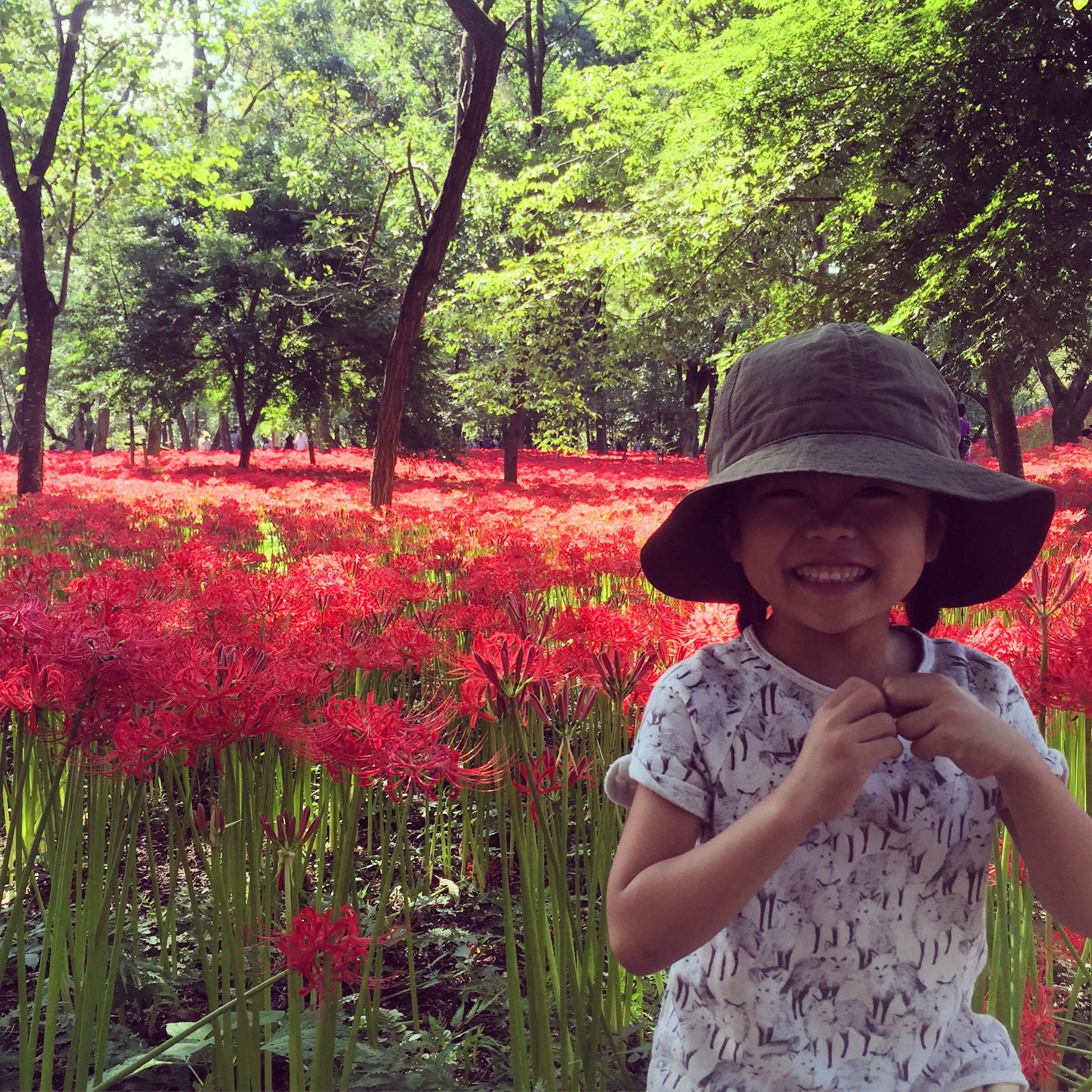f:id:poco0719:20150923184024j:image f:id:poco0719:20150923184024j:image