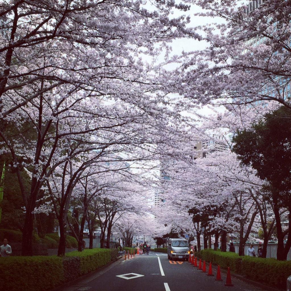 f:id:poco0719:20160407142903j:image f:id:poco0719:20160407142903j:image