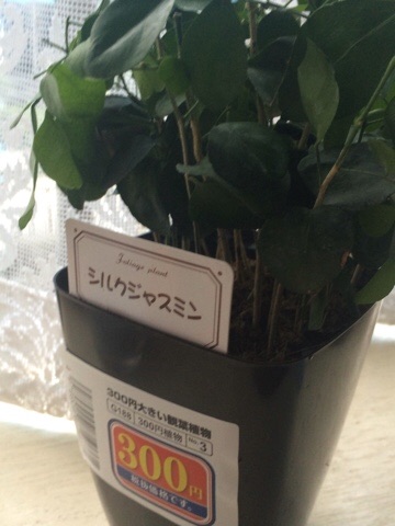 f:id:poke-monn:20151224150007j:image f:id:poke-monn:20151224150007j:image