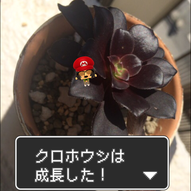 f:id:poke-monn:20160331163453p:image f:id:poke-monn:20160331163453p:image