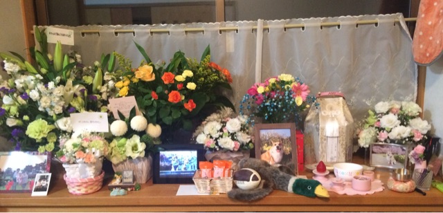 f:id:pokopeko2003:20141126212747j:plain f:id:pokopeko2003:20141126212747j:plain