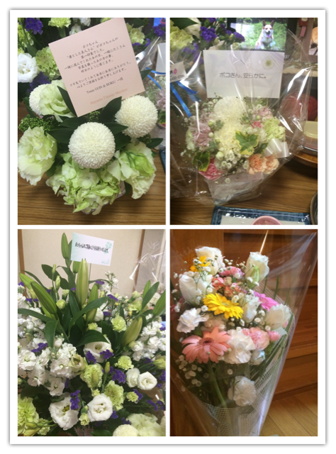 f:id:pokopeko2003:20141129185028j:plain f:id:pokopeko2003:20141129185028j:plain