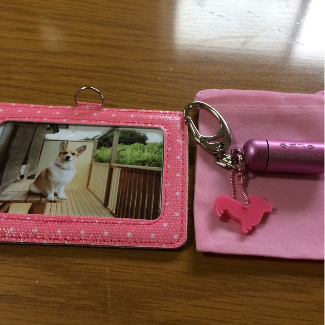 f:id:pokopeko2003:20141129192859j:plain f:id:pokopeko2003:20141129192859j:plain