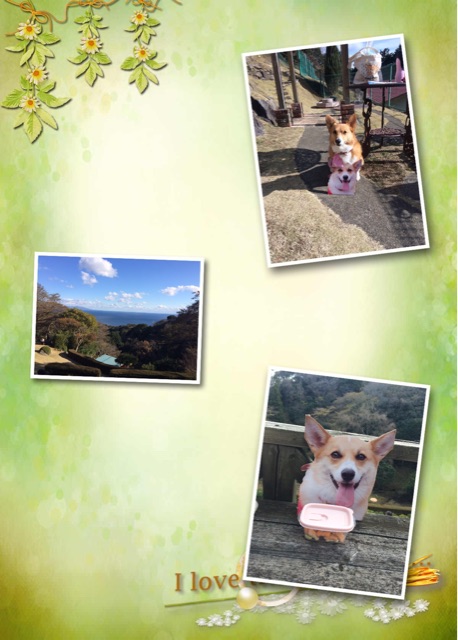 f:id:pokopeko2003:20150105184311j:plain f:id:pokopeko2003:20150105184311j:plain