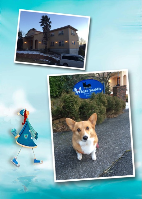 f:id:pokopeko2003:20150107002315j:plain f:id:pokopeko2003:20150107002315j:plain