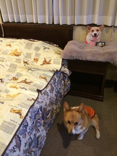 f:id:pokopeko2003:20150107002448j:plain f:id:pokopeko2003:20150107002448j:plain