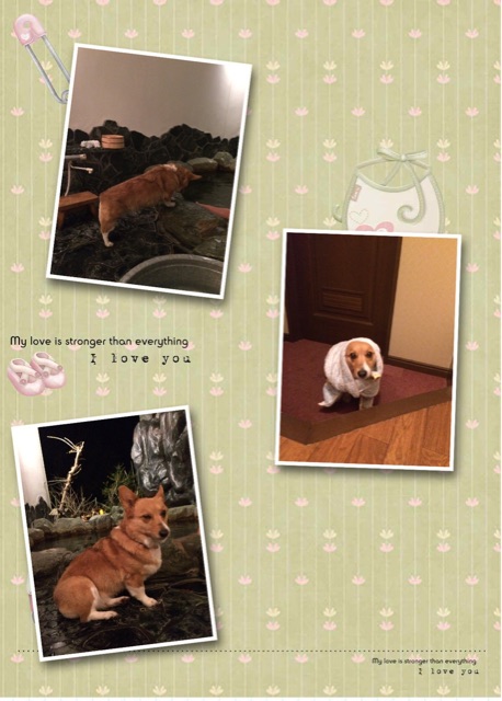 f:id:pokopeko2003:20150107003401j:plain f:id:pokopeko2003:20150107003401j:plain