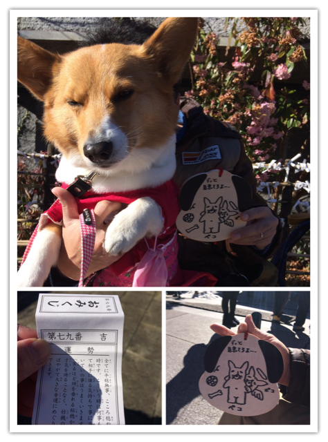 f:id:pokopeko2003:20150108231251j:plain f:id:pokopeko2003:20150108231251j:plain