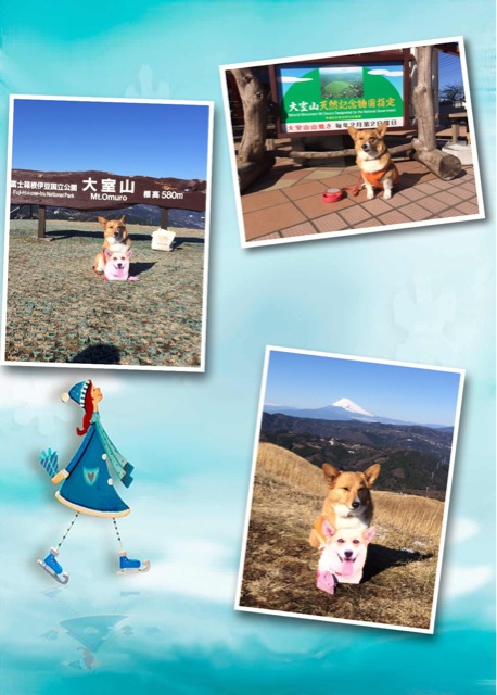 f:id:pokopeko2003:20150108231514j:plain f:id:pokopeko2003:20150108231514j:plain