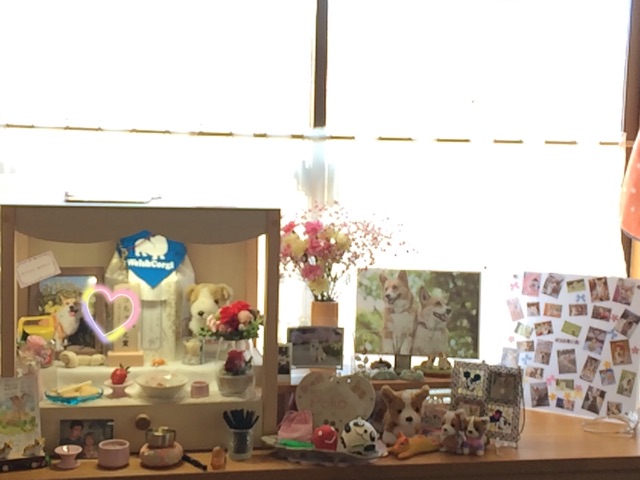 f:id:pokopeko2003:20150210135940j:plain f:id:pokopeko2003:20150210135940j:plain