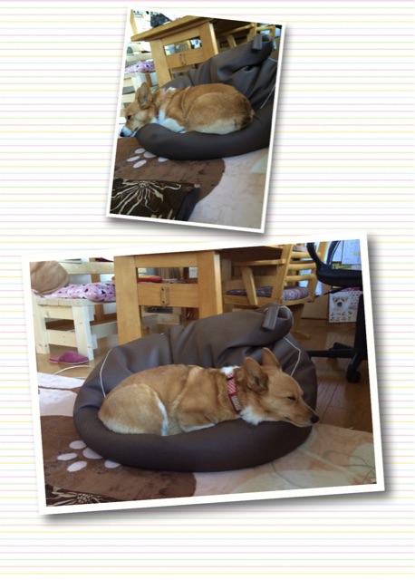 f:id:pokopeko2003:20150214163420j:plain f:id:pokopeko2003:20150214163420j:plain