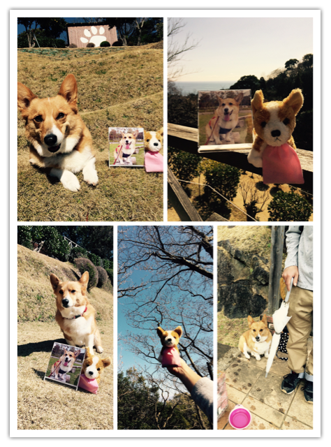 f:id:pokopeko2003:20150222175759j:plain f:id:pokopeko2003:20150222175759j:plain