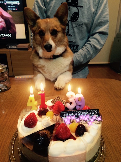 f:id:pokopeko2003:20150303210852j:plain f:id:pokopeko2003:20150303210852j:plain