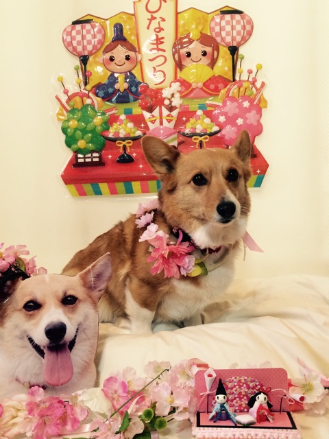 f:id:pokopeko2003:20150303211326j:plain f:id:pokopeko2003:20150303211326j:plain