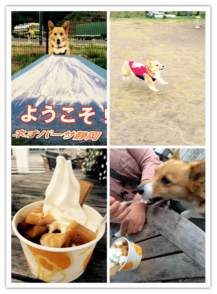 f:id:pokopeko2003:20151109171658p:image f:id:pokopeko2003:20151109171658p:image