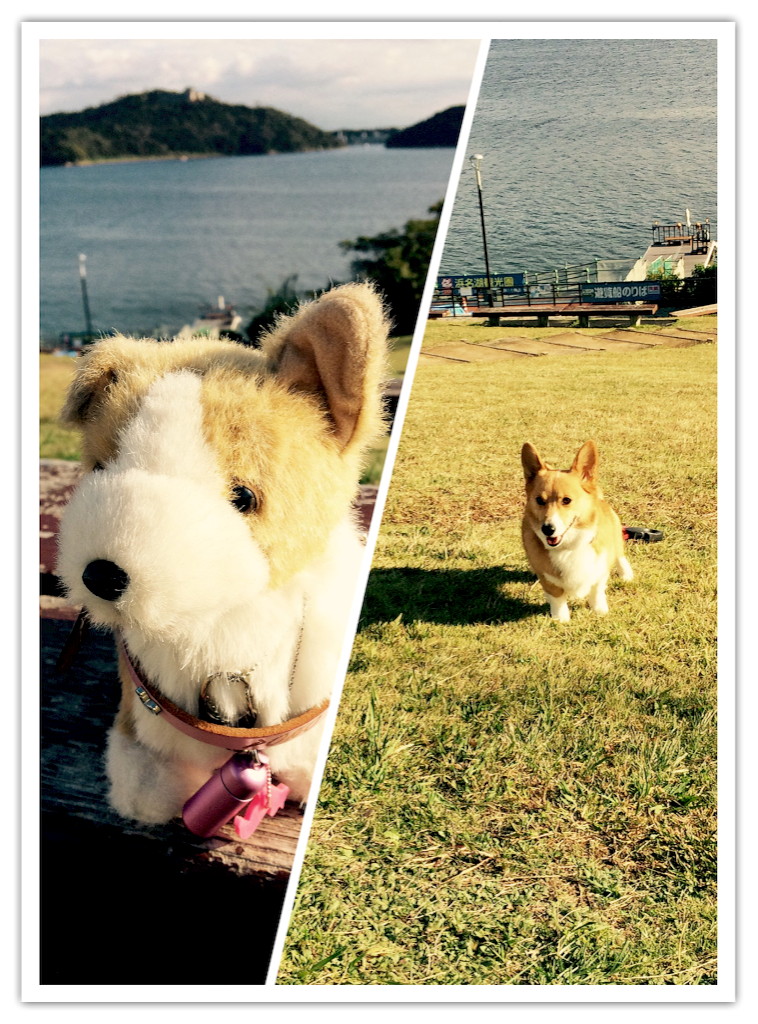 f:id:pokopeko2003:20151111123135p:image f:id:pokopeko2003:20151111123135p:image