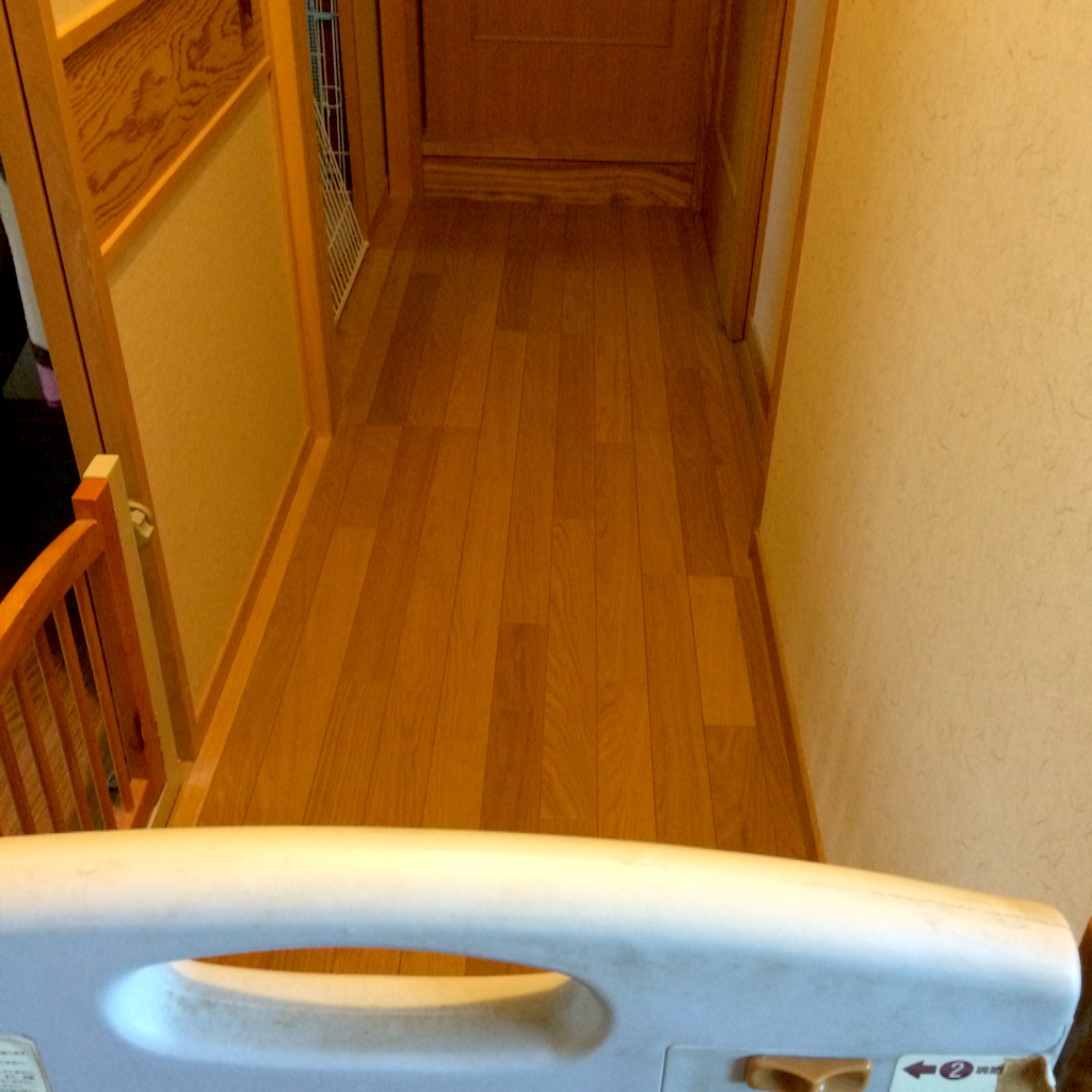 f:id:pokopeko2003:20151115202856j:image f:id:pokopeko2003:20151115202856j:image
