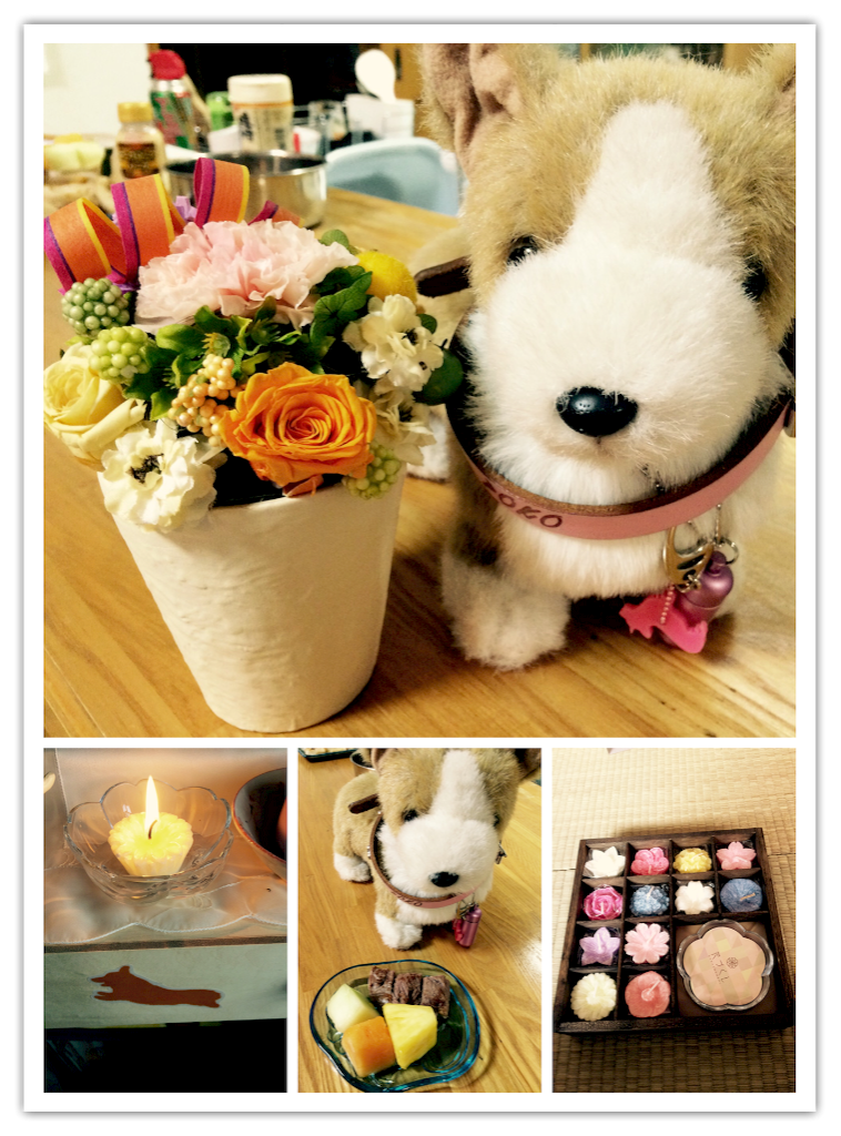 f:id:pokopeko2003:20151122223519p:image f:id:pokopeko2003:20151122223519p:image